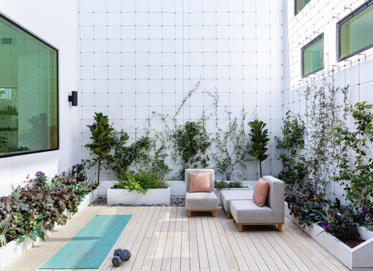 patio with seating and plants at warm modern home